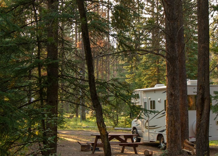 rv-camping-site-in-trees-tablet