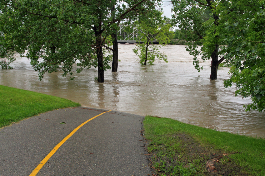 Flood by Calgary Zoo